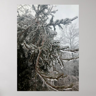 Póster Escarcha de invierno