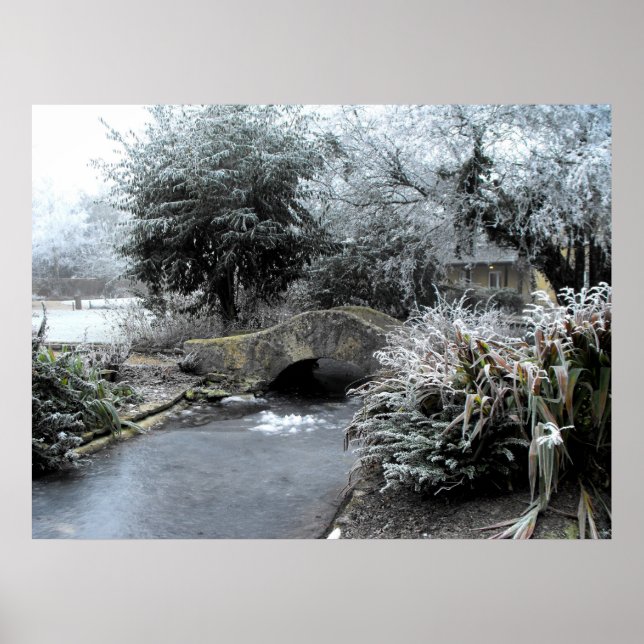 Póster Escarcha y hielo en un jardín de Somerset (Frente)
