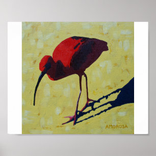 Póster Escarlata Ibis