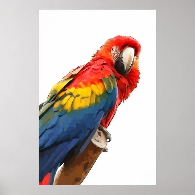 Póster escarlata macaw Poster (Frente)