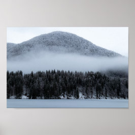 Póster Escarnio sobre el bosque de abetos