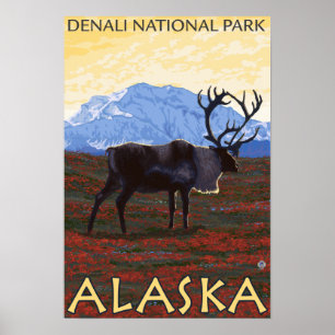 Póster Escena Caribou - Parque Nacional Denali, Alaska
