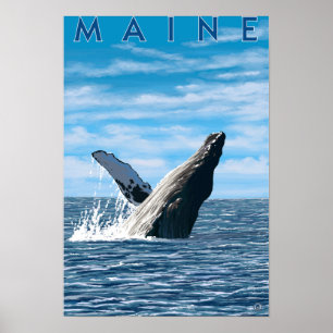 Póster Escena de ballenas MaineHumpback