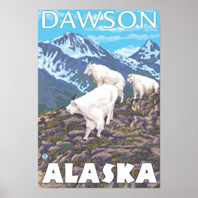 Póster Escena de cabras de montaña - Dawson, Alaska (Frente)