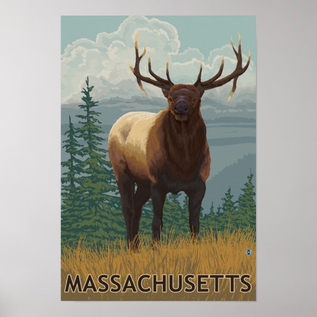 Póster Escena de Elk de Massachusetts (Frente)