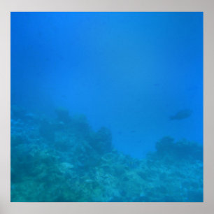 Póster Escena de fondo subacuática