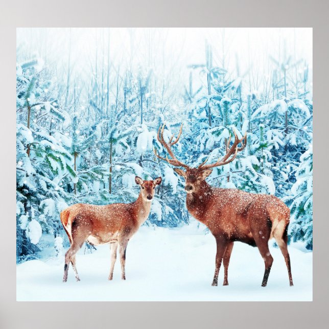 Póster Escena De Invierno De La Familia Snowy Deer (Frente)