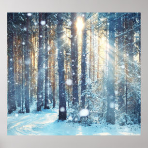 Póster Escena De Invierno De Snowy Forest Frosty