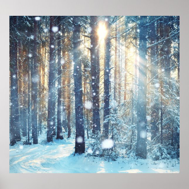 Póster Escena De Invierno De Snowy Forest Frosty (Frente)