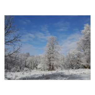 Póster Escena de invierno del noreste