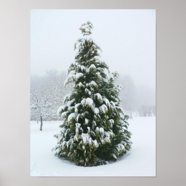 Póster Escena de invierno poster (Frente)