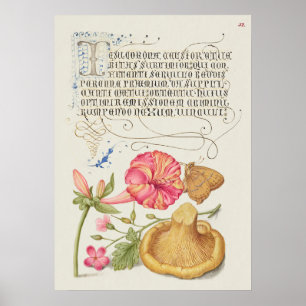 Póster Escena de jardín con flores, mariposa y hongo