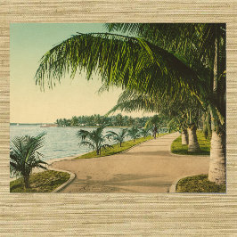 Póster Escena de la época de la Florida Palm Beach 1898
