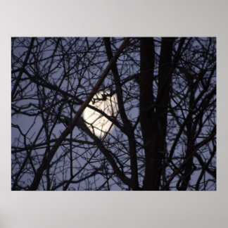 Póster Escena de la luna llena