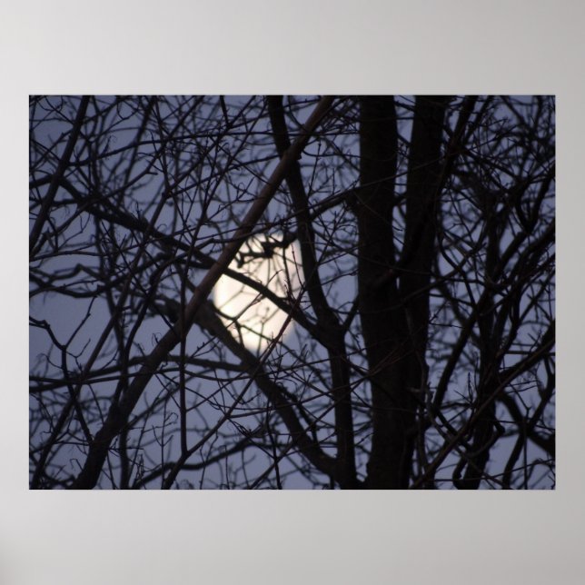 Póster Escena de la luna llena (Frente)