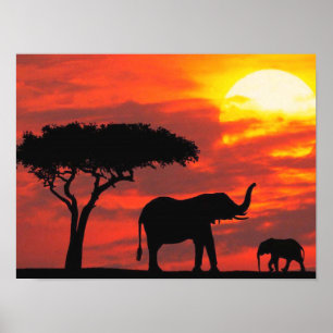 Póster Escena de la silueta del elefante con el cielo