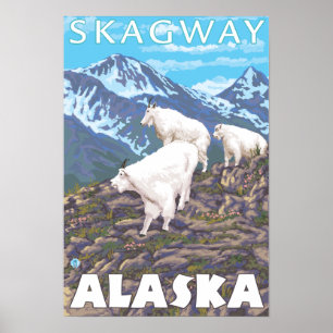 Póster Escena de las cabras de montaña - Skagway, Alaska