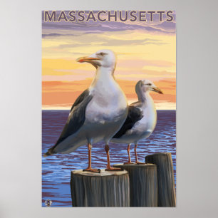 Póster Escena de las gaviotas marinas de Massachusetts