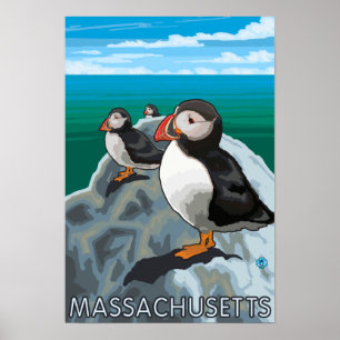 Póster Escena de MassachusettsPuffins