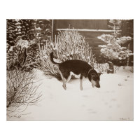 Escena de nieve de invierno con perro negro lindo 