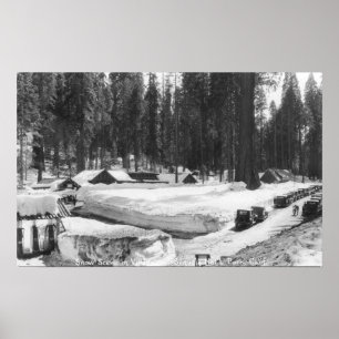 Póster Escena de nieve en parque nacional Sequoia en alde