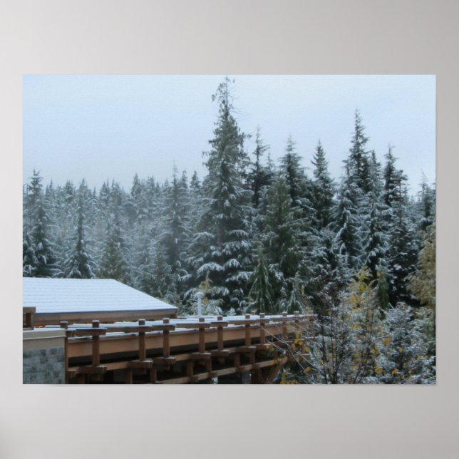 Póster Escena de nieve en Whistler, C.B. (Frente)