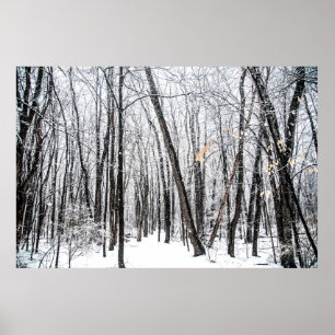 Póster Escena de nieve en Woodland Michigan