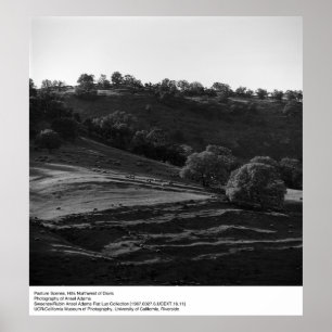 Póster Escena de pastura de Ansel Adams