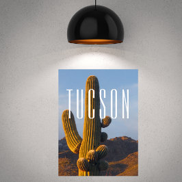 Póster Escena de Saguaro Tucson
