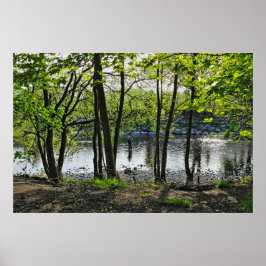 Póster Escena de Woodland. Bosque de Blackweir, Cardiff