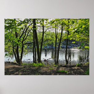 Póster Escena de Woodland. Bosque de Blackweir, Cardiff