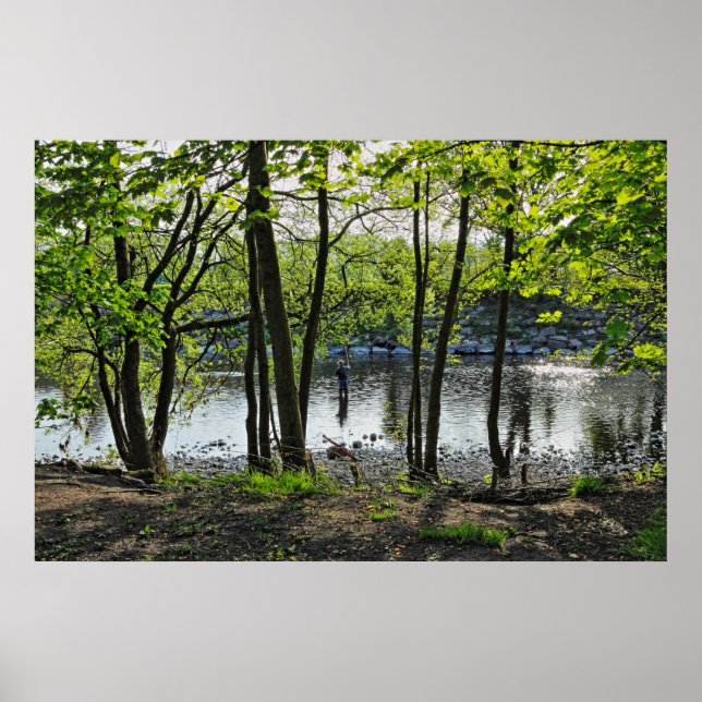 Póster Escena de Woodland. Bosque de Blackweir, Cardiff (Frente)