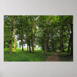 Póster Escena de Woodland. Bosque de Blackweir, Cardiff