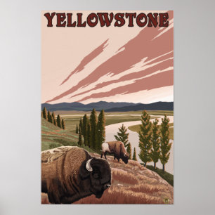 Póster Escena de YellowstoneBison