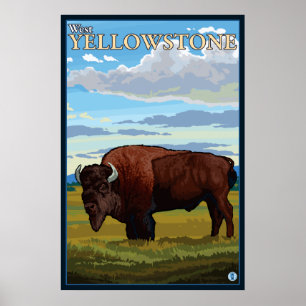 Póster Escena del bisonte - Yellowstone del oeste,