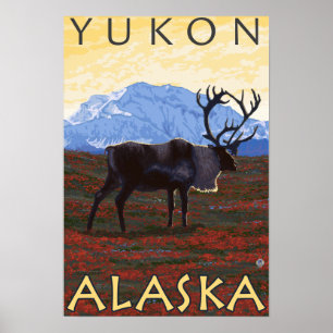 Póster Escena del caribú - el Yukón, Alaska