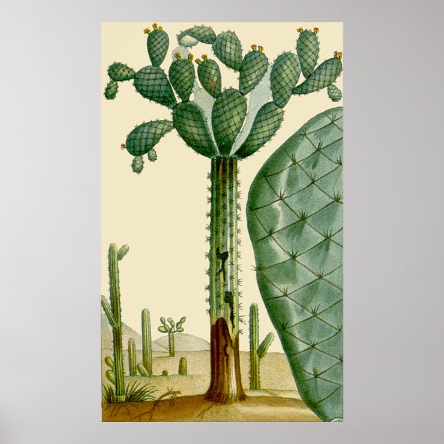 Póster Escena del desierto de Cacti (Frente)