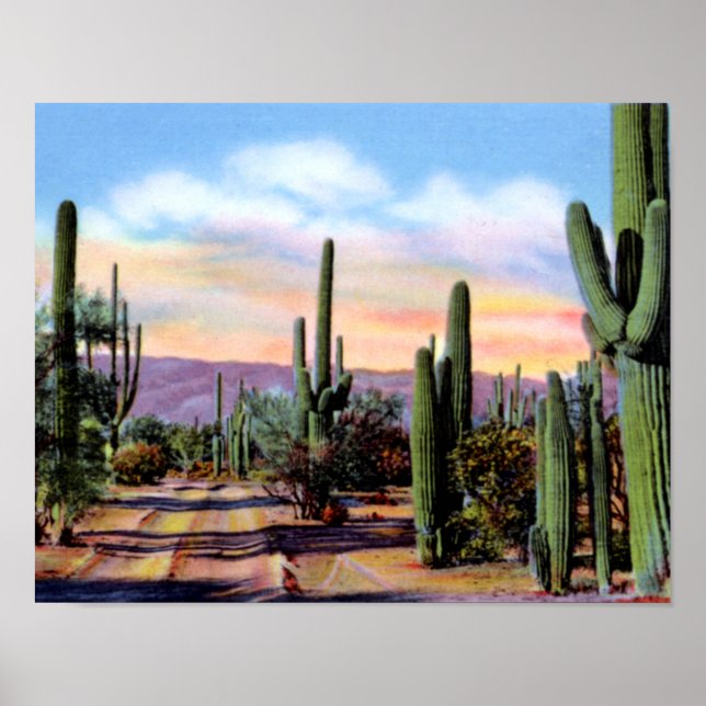 Póster Escena del desierto de Sonoran en Arizona (Frente)