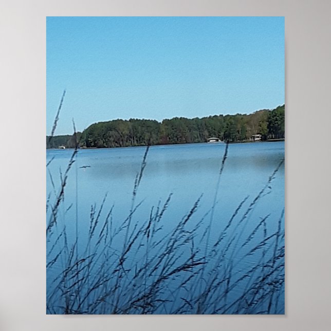 Póster Escena del lago (Frente)