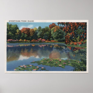 Póster Escena del lago Idaho con Lily PadsIdaho