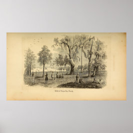 Póster Escena en Tampa Bay