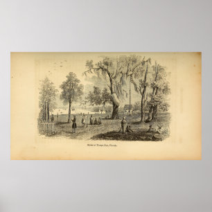 Póster Escena en Tampa Bay