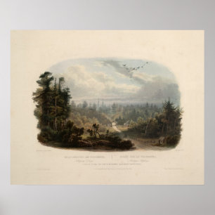 Póster Escena forestal en las montañas Tobihanna, Allegha