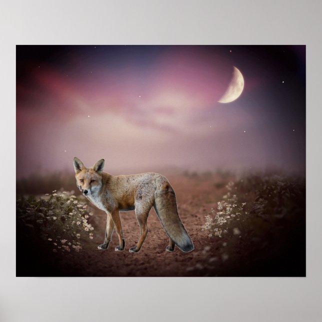 Póster Escena Fox de Dream Moonlight (Frente)