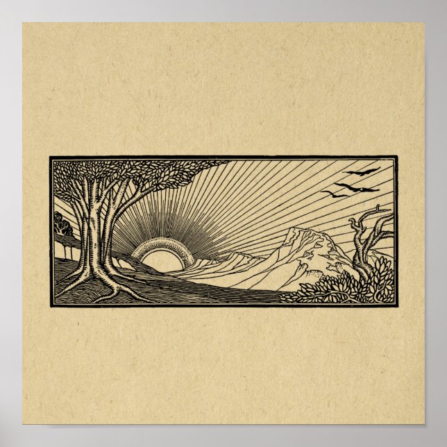 Póster Escena natural con aves voladoras y sol (Frente)