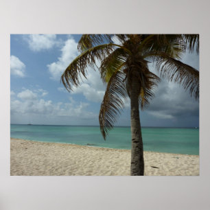 Póster Escena Natural Hermosa de la Playa Arubana