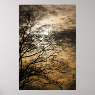 Póster Escena nublada del sol