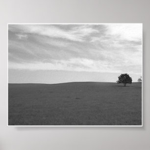 Póster Escena solitaria de la pradera blanca y negra