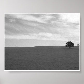 Póster Escena solitaria de la pradera blanca y negra