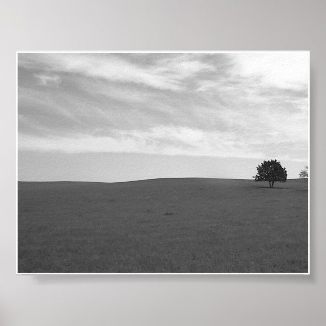 Póster Escena solitaria de la pradera blanca y negra (Frente)